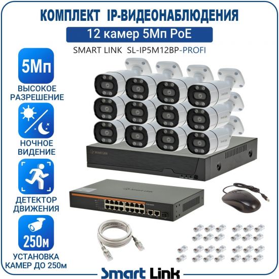 Готовый комплект 5Мп IP-видеонаблюдения PoE, уличный, на 12 камер, с записью на жёсткий диск, с удалённым просмотром, для дома, дачи, бизнеса. Smart Link SL-IP5M12BP-P